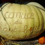 citrouille