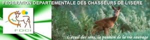 chasseurs