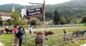 st auptre 1
