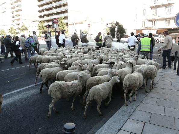 manif 54