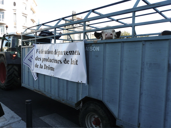 manif 55