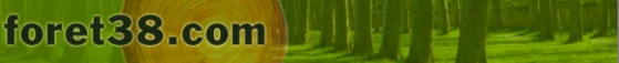 foret foret