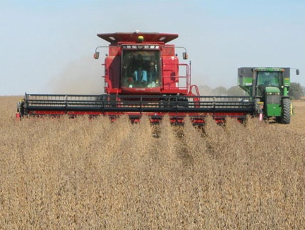 monsanto monsanto