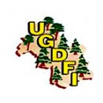 ugdfi ugdfi