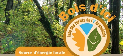 bois d'ici