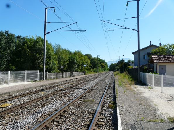 trains trains