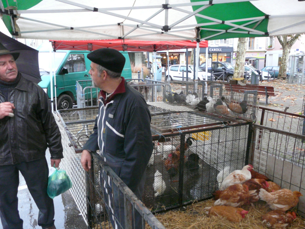 foire 2