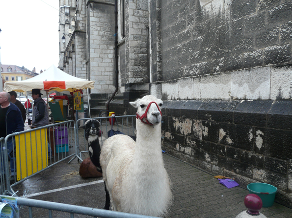 foire 6