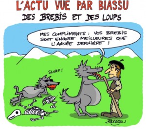 biassu