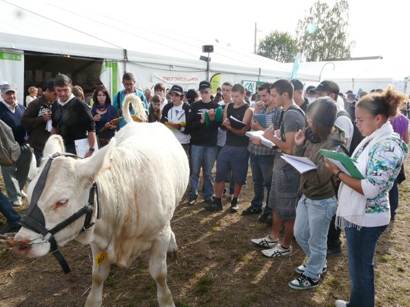 materiel de forain d occasion