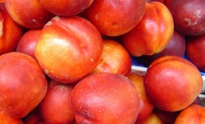 nectarines
