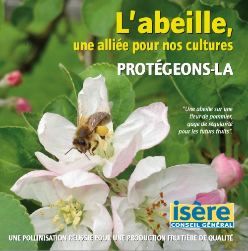 abelle tel abelle tel