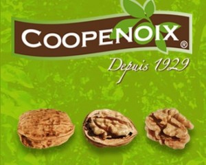 coopenoix coopenoix