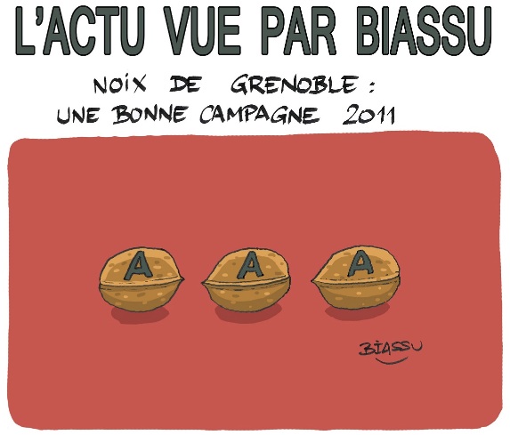 biassu biassu