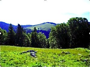 ph Vercors ph Vercors