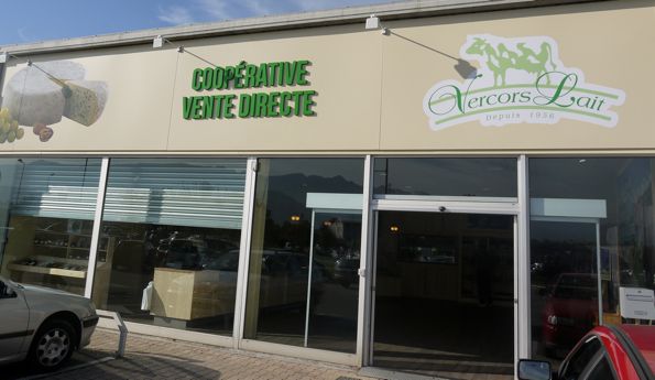 VrtC
