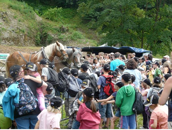 fête de la forêt de montagne