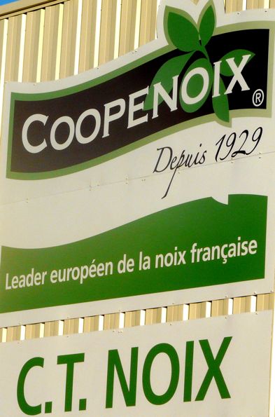 coop 2