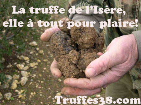 truffes logo