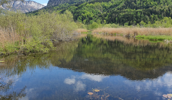 Espaces naturels sensibles