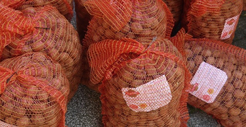 Comité interprofessionnel de la noix de Grenoble: nouveau Président.. préparer l’avenir