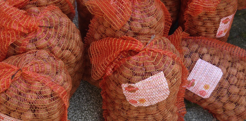 Comité interprofessionnel de la noix de Grenoble: nouveau Président.. préparer l’avenir