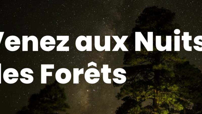 Des journées et des nuits partagées en forêt de Tréminis