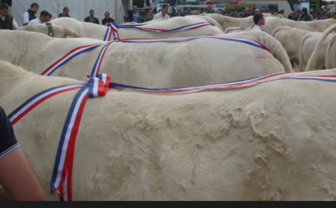 Beaucroissant : pas de foire mais un important rendez-vous agricole