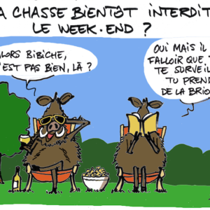 Pas de chasse le dimanche: Biassu en fait son actu!