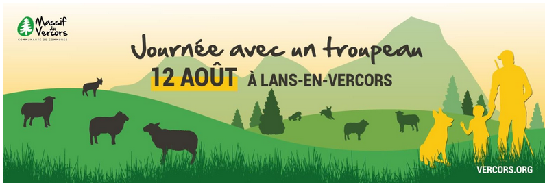 Vercors: Ma journée avec un troupeau