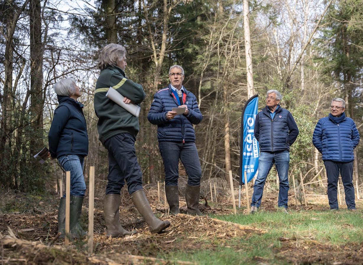 PRÈS DE 1500 ARBRES PLANTÉS DANS LA FORÊT DE CHATONNAY