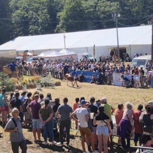 Fête du bleu: la relève est prête!