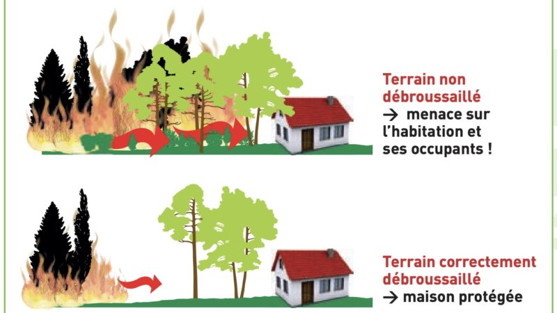 Risque incendie : c’est le moment de débroussailler !