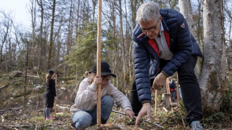 Miribel-les-Echelles: opération une arbre, un habitant