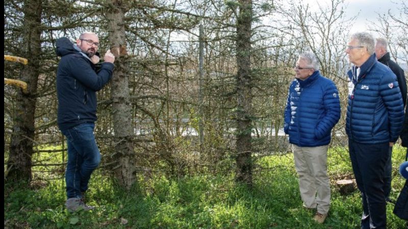 Axe de Bièvre : des arbres malades abattus, des arbres locaux replantés